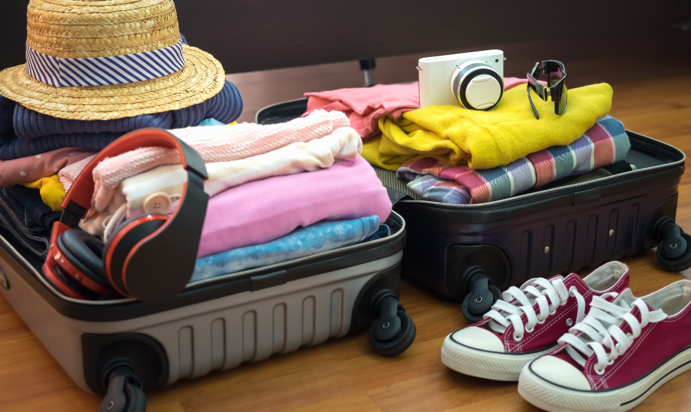 Lugage , cases and bags