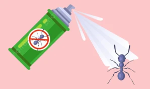 Ant control