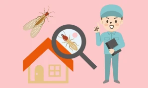Termite Control