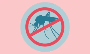 Mosquito control