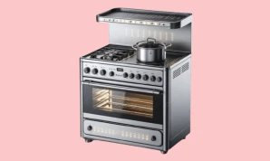 Gas & Electrical Oven