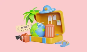 Tour and ticket