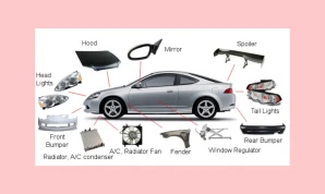 Body Parts Used