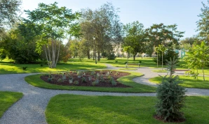 Landscapeing