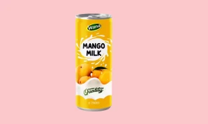 B2B Mango milk