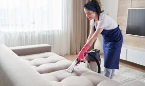 Furniture Cleaning