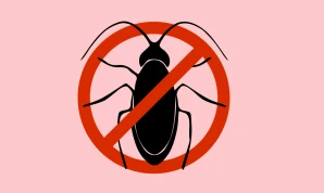 Insects Control