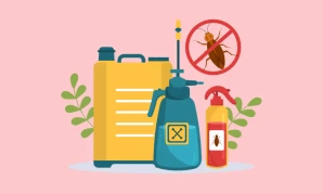 Insects and Rodents pest control