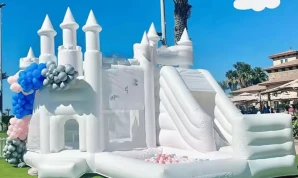 Slide and Ball Pit Inflatable Bouncer