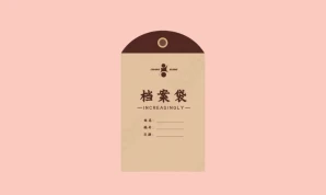 Kraft Paper Thick Envelopes