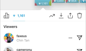 Instagram Story Views