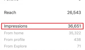 Instagram Impressions