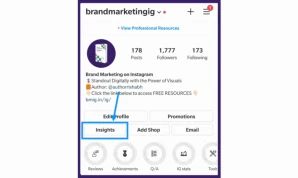 Instagram Profile Visits
