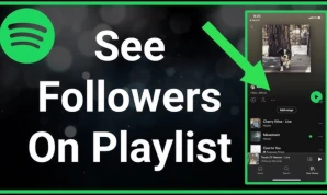 Spotify Followers