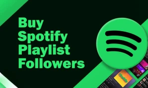 Spotify Playlist Followers
