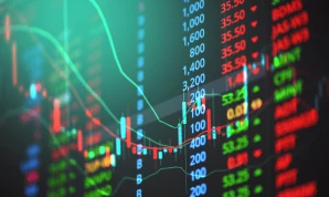 Stock & Crypto training
