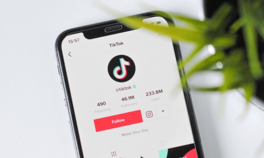 TikTok Followers - HQ &amp; Real [Cheapest]
