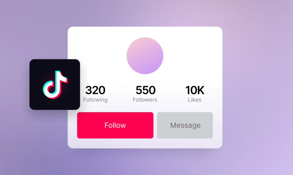 TikTok Followers - Medium Quality [Cheapest]