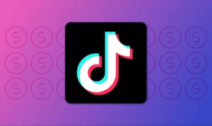 TikTok Followers - No Refill