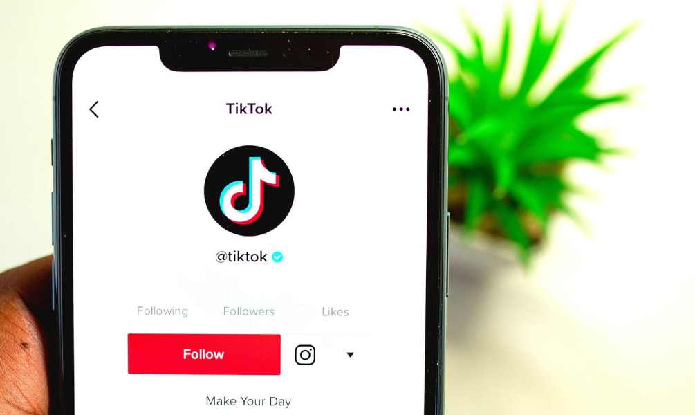 TikTok Followers - Targeted [ No Refill ]