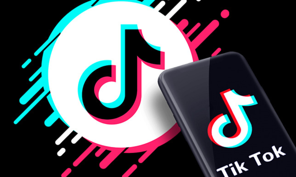 TikTok Followers - Targeted [ Refill 365 Days ]