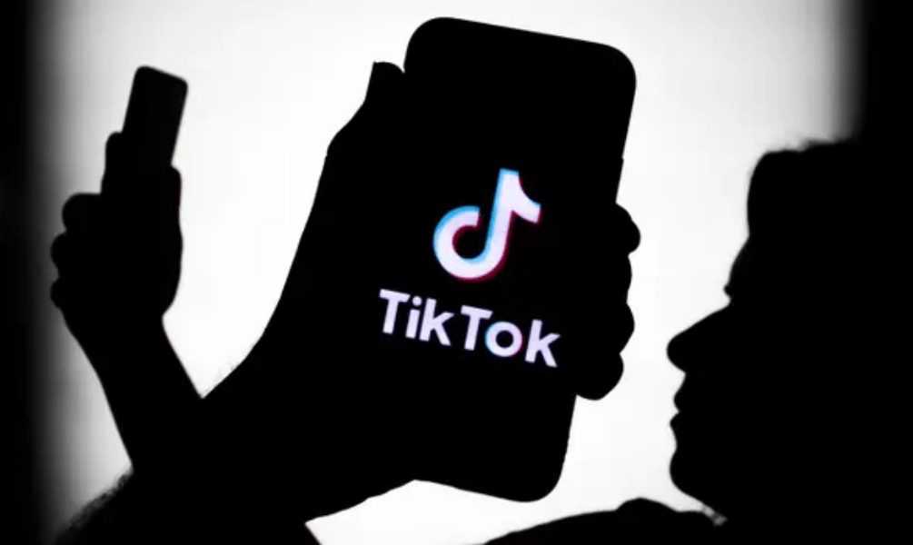 TikTok Likes - Targeted [ 365 Days Refill ]