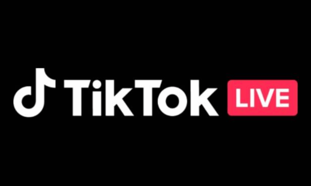 TikTok Live Stream Chat Comments - Human Views