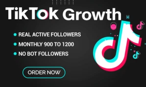 TikTok Real Services