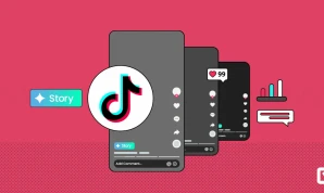 TikTok Story Services
