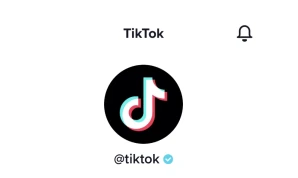 TikTok Verified Comments