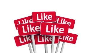 YouTube Likes - By Niche