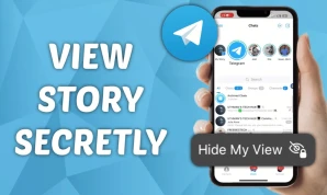Telegram Story Views