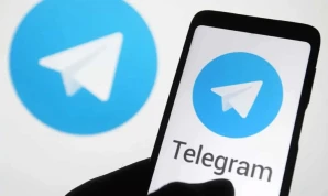 Telegram Vots / Clone / Other