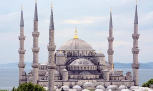 Classic Turkey