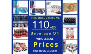 Red Bull 24 Pcs Pack
