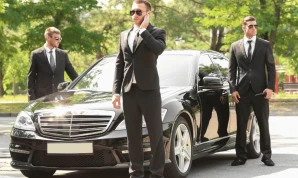 Bodyguard / Personal Security