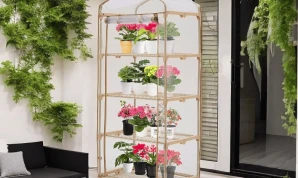 Green House