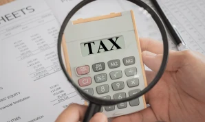 Tax Consultant