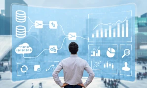 Business Systems Analyst