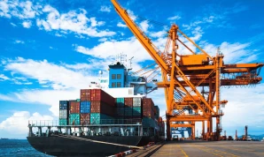 Cold Chain Logistics Management