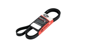 3PK 795 BELT