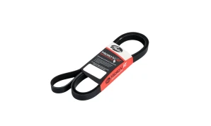 3BELT 3PK780