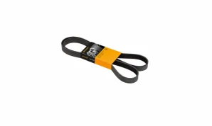 6PK 1175 6PK 1175 BELT
