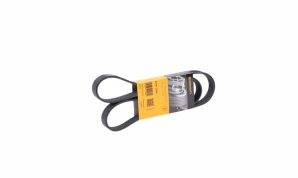 6PK 1205 6PK 1205 BELT