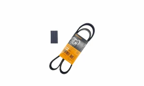 6PK 1220 6PK 1220 BELT