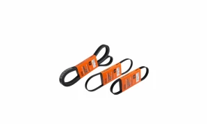 6PK 1230 6PK 1230 BELT