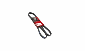 6PK 1255 6PK 1255 BELT