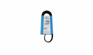 6PK 1270 6PK 1270 BELT