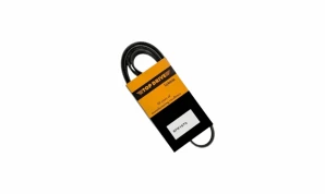 6PK 1670 6PK 1670 BELT