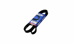 6PK 1790 6PK 1790 BELT